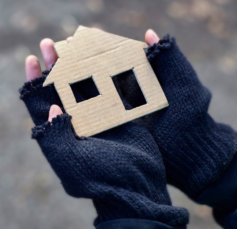 A pair of hands holding a flat cardboard house.